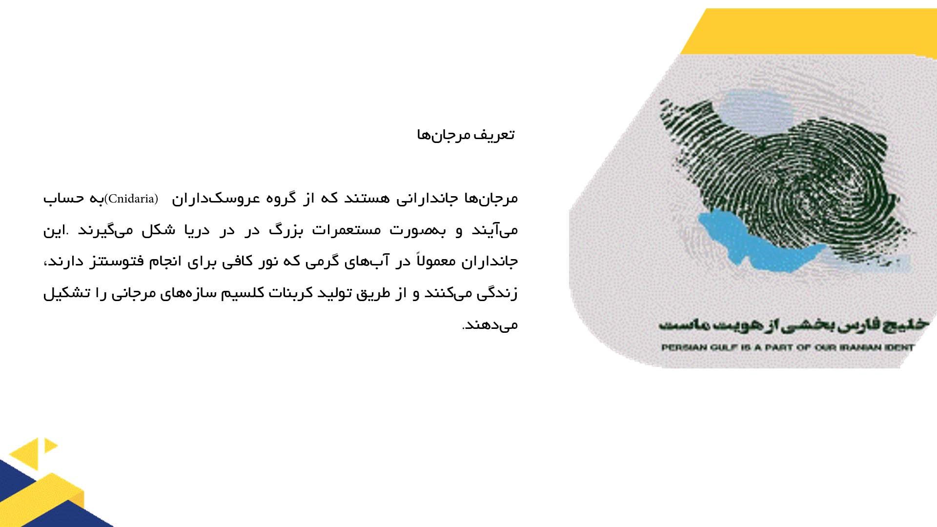 پاورپوینت در مورد نقش مرجان‌ها در اکوسیستم خلیج فارس